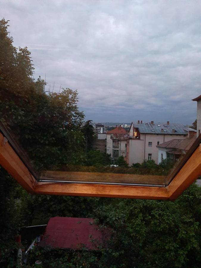 Piccola Italia Casa Racovita Cluj-Napoca Exterior photo